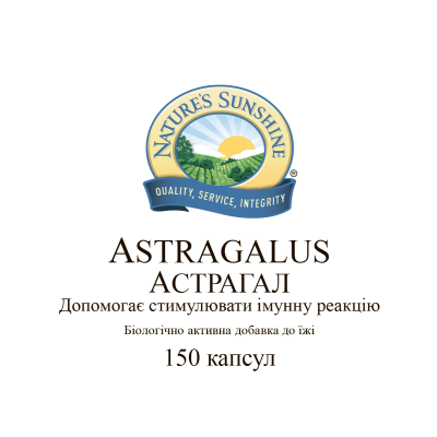 Астрагал НСП / Astragalus NSP - 150 капсул