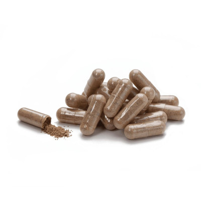 Кордицепс НСП / Cordyceps NSP 