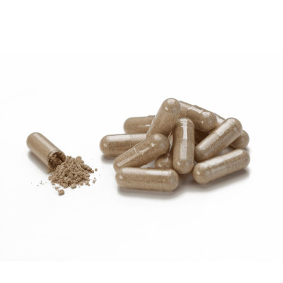 Молочний Чортополох (Milk Thistle) НСП - засіб для очищення печінки