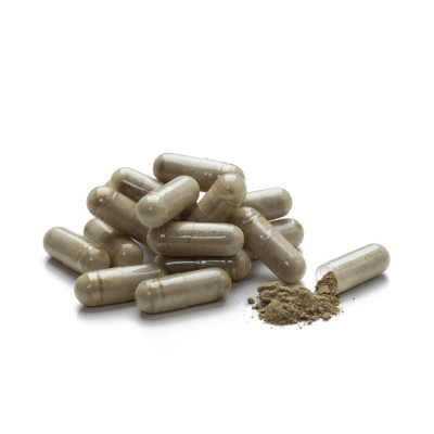 Екстракт Листя Оливи / Olive Leaf Extract NSP - ефективний противірусний препарат